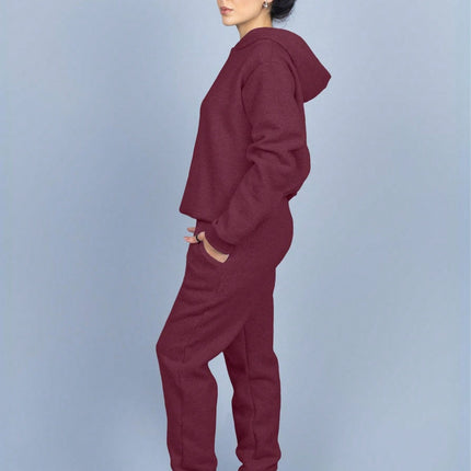 Conjunto de sudadera con capucha de franela lisa